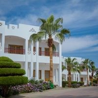 Informații generale preview