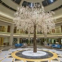 Informații generale preview