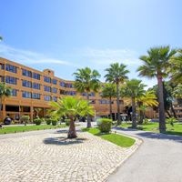 Informații generale preview