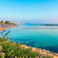 Plajă preview