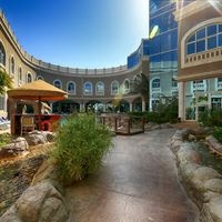 Informații generale preview