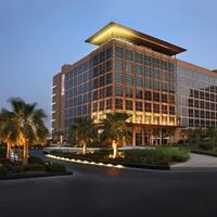 Informații generale preview