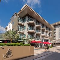 Informații generale preview