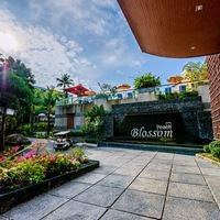 Informații generale preview