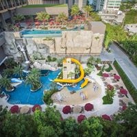 Informații generale preview