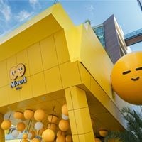 Informații generale preview