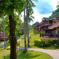 Informații generale preview