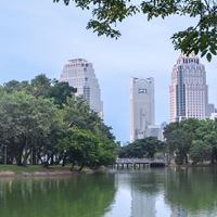 Informații generale preview