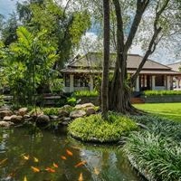 Informații generale preview