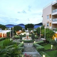 Informații generale preview