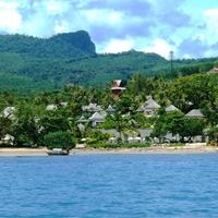 Informații generale preview