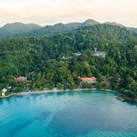 Informații generale preview