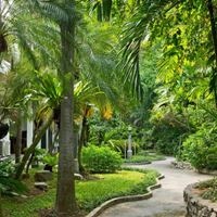 Informații generale preview