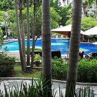 Informații generale preview