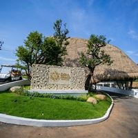 Informații generale preview