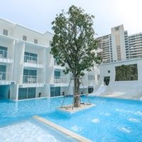 Informații generale preview