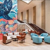 Informații generale preview