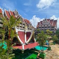 Informații generale preview