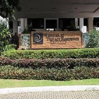 Informații generale preview