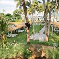 Informații generale preview