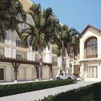 Informații generale preview