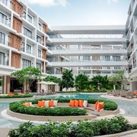 Informații generale preview