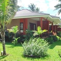 Informații generale preview