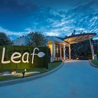 Informații generale preview