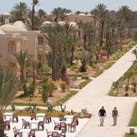 Informații generale preview