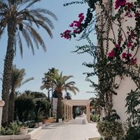 Informații generale preview