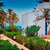 Informații generale preview