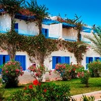 Informații generale preview