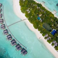 Informații generale preview