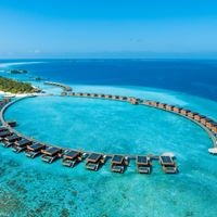 Informații generale preview