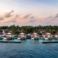 Informații generale preview