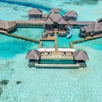 Informații generale preview