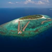 Informații generale preview