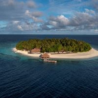 Informații generale preview