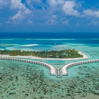 Informații generale preview