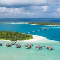 Informații generale preview