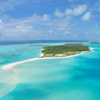 Informații generale preview