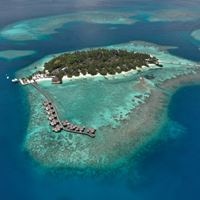 Informații generale preview