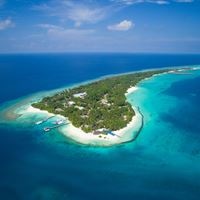 Informații generale preview