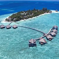 Informații generale preview