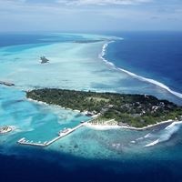 Informații generale preview