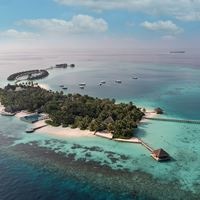 Informații generale preview