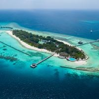 Informații generale preview