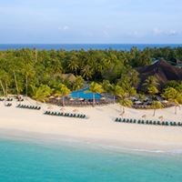 Informații generale preview