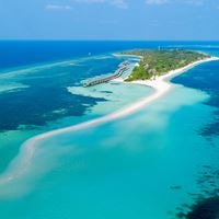 Informații generale preview