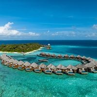 Informații generale preview